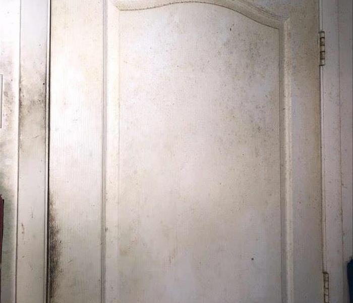 moldy door