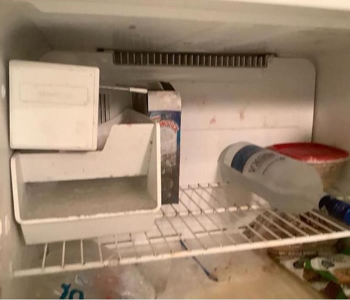 Freezer with food items and visible mold damage