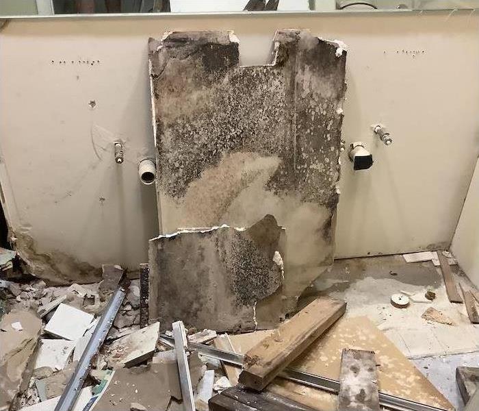 Debris on the floor, mold on drywall